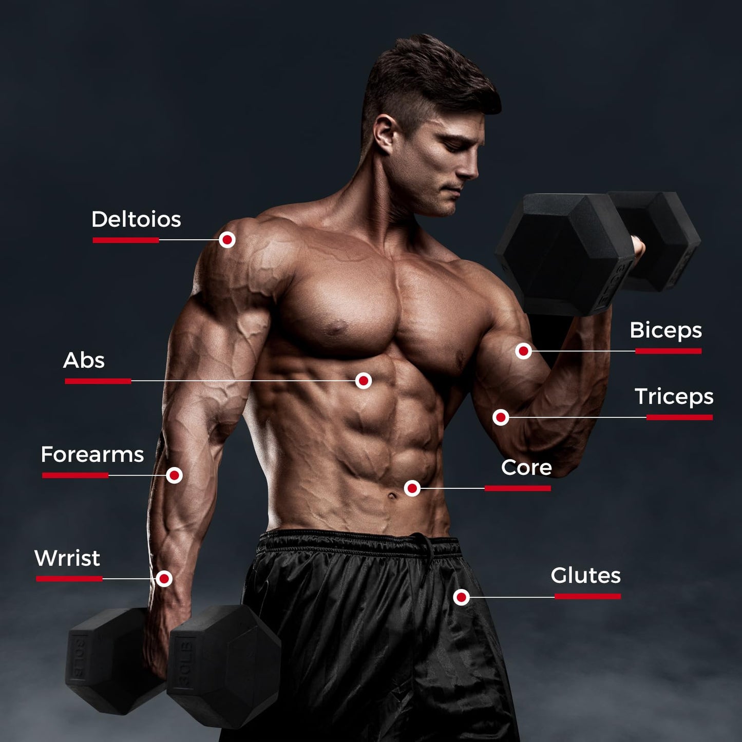 RitFit 15LB Dumbbells Set of 2 Rubber Encased Dumbbell Sets with Optional Rack for Home Gym, Coated Hand Weights for Strength Training, Workouts