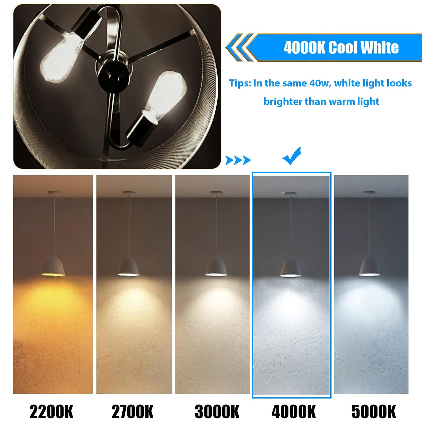 winsaLED 16 Pack LED Edison Bulbs 40W Equivalent, 4000K Cool White Dimmable ST19 Light Bulb, 4W LED Filament Bulb, 450LM E26 Vintage Bulbs for Ceiling Light Fixtures