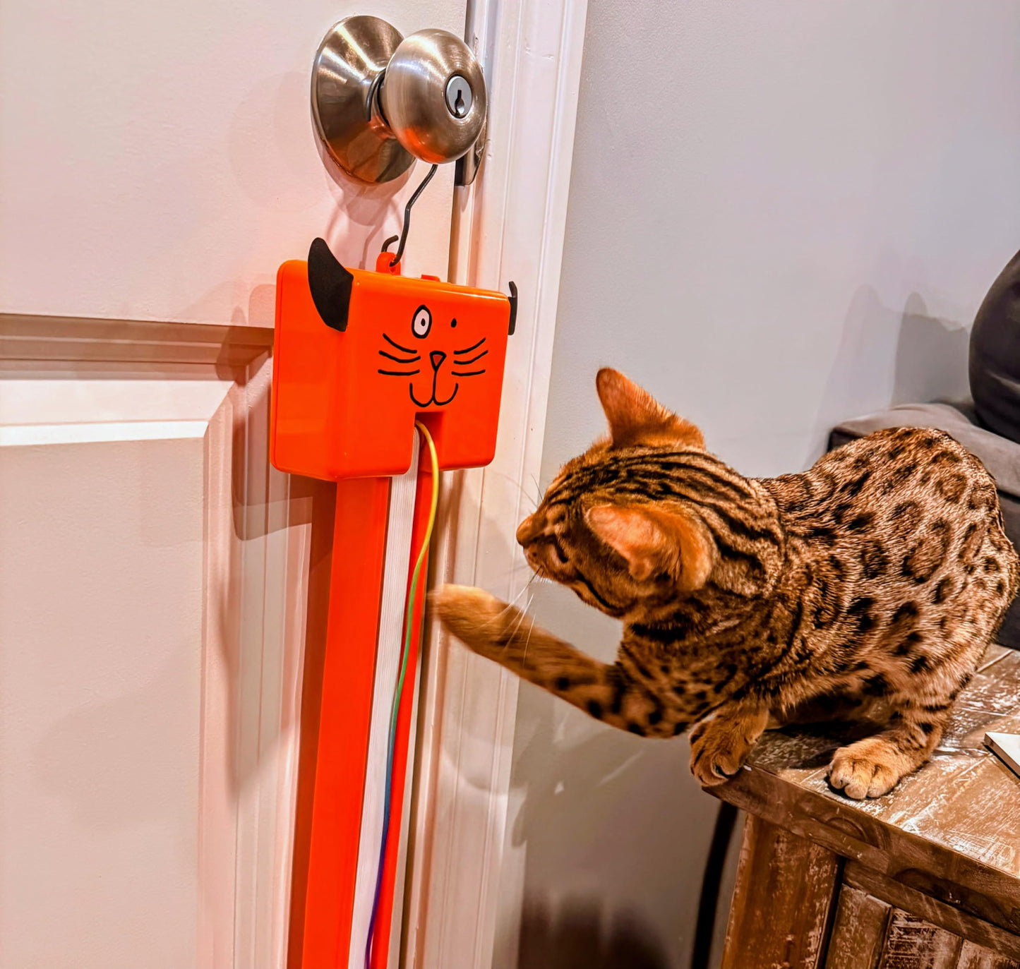 Moody Pet FLING-AMA-STRING Automatic cat toy: Interactive Cat Toy for Bored Indoor Cats with motorized String Action, Ideal Hanging Door Toy for cats