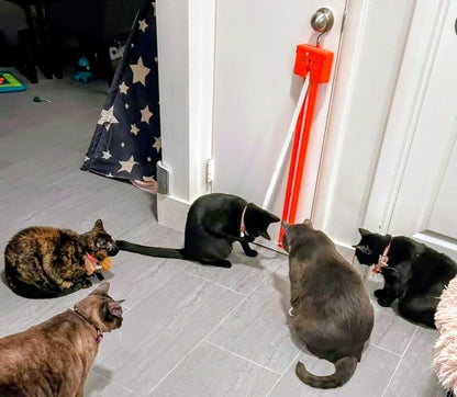 Moody Pet FLING-AMA-STRING Automatic cat toy: Interactive Cat Toy for Bored Indoor Cats with motorized String Action, Ideal Hanging Door Toy for cats