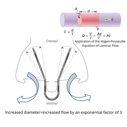 Silent Mammoth Reusable Adjustable Nasal Dilator (Small) Opens Nose to Breathe Easily