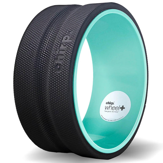 Chirp Wheel Foam Roller - Targeted Back & Neck Pain Relief, Muscle Massage, Trigger Point Therapy, High-Density Foam Tool for Physical Therapy, Stretching & Exercise, 500lbs Capacity, 10-Inch Mint